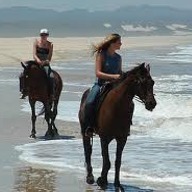 Horse Riding Port Elizabeth