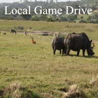 Kragga Kamma Game Park Day Tour