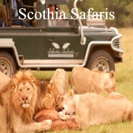 Schotia Safaris Day Tour