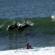 Surf Lessons Port Elizabeth